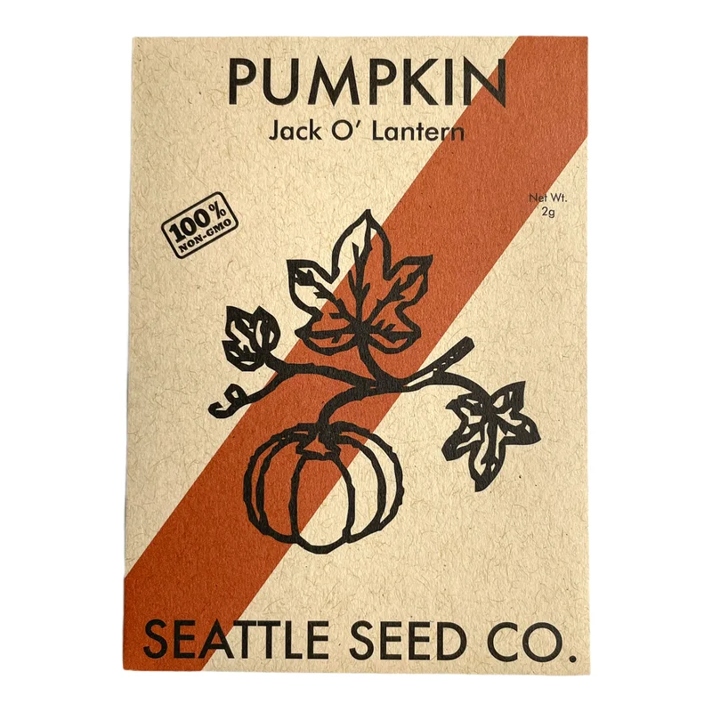 clickseattlelocal3791283