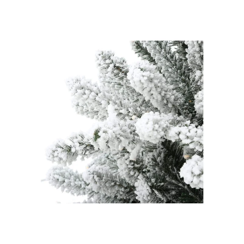 ibspot-1133513