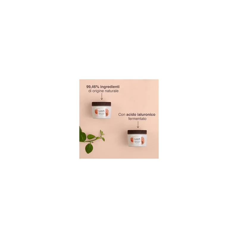 ibspot-14363439