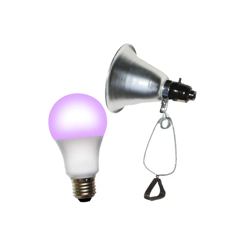 ibspot-24836558