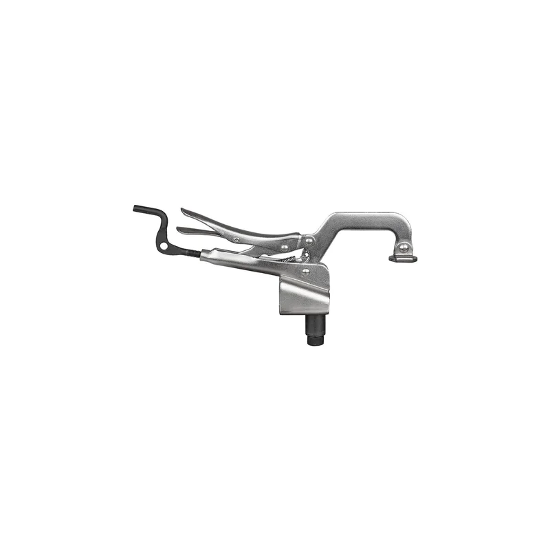 ibspot-25002213