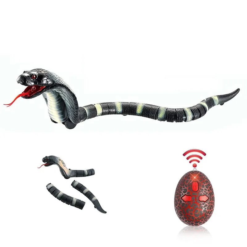 ibspot-3111550