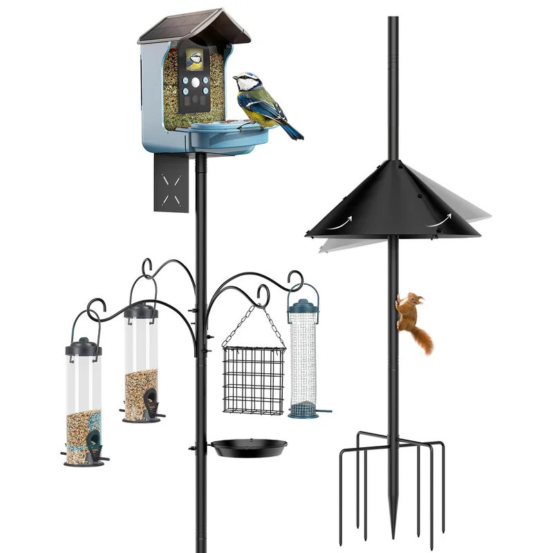 ibspot-35070072