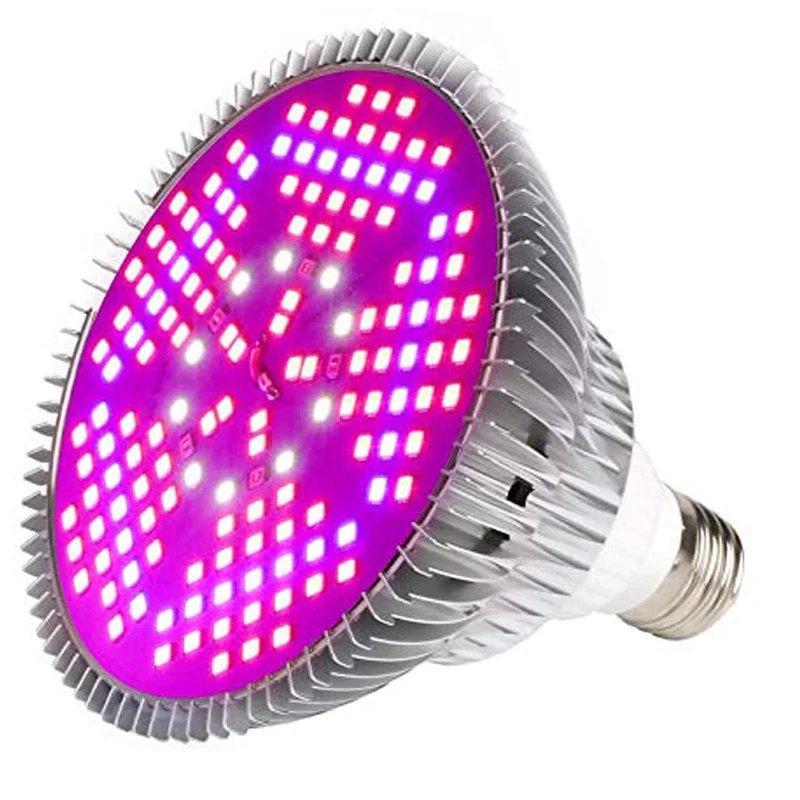 ibspot-44306643
