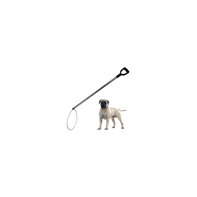 ibspot-45039000