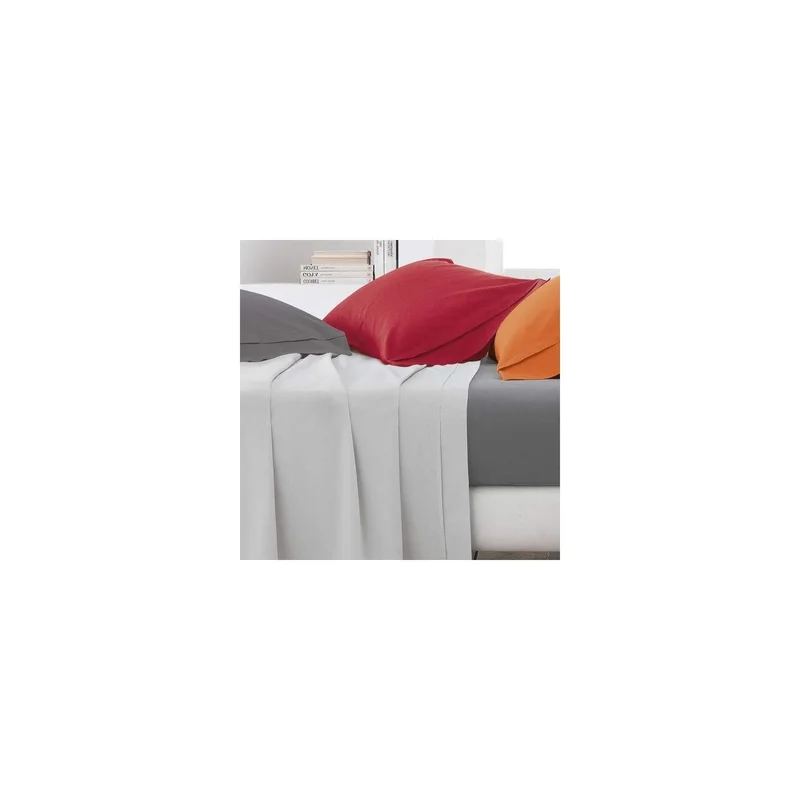 ibspot-5146878