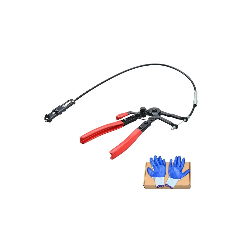 ibspot-54279409
