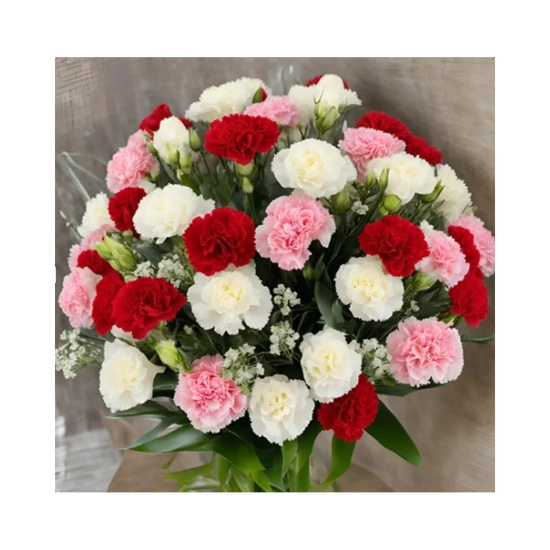 ibspot-54888433