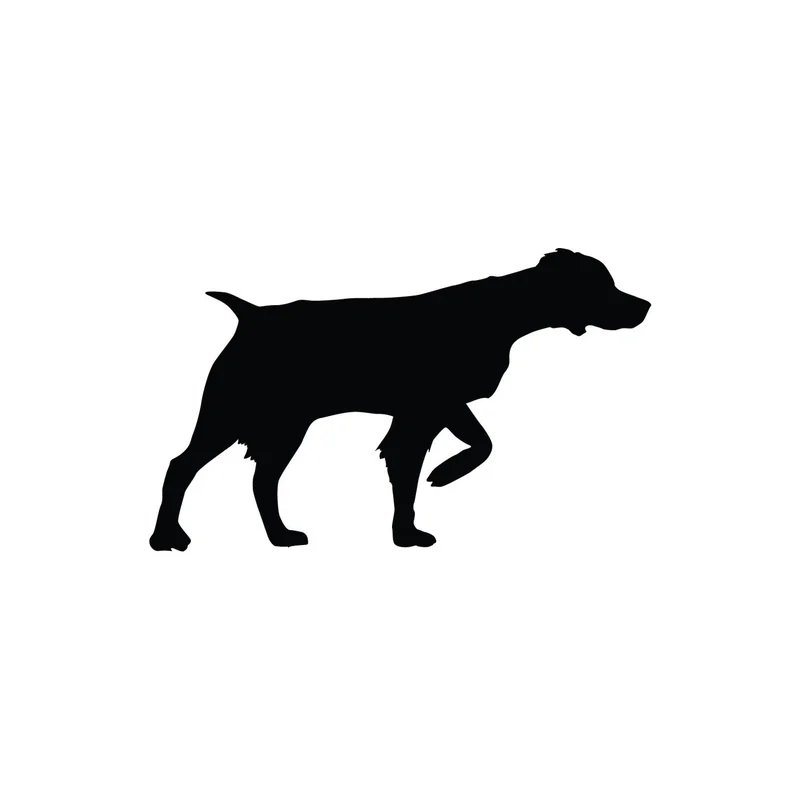 ibspot-54914719