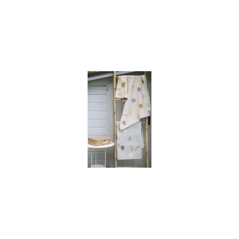 ibspot-55023882
