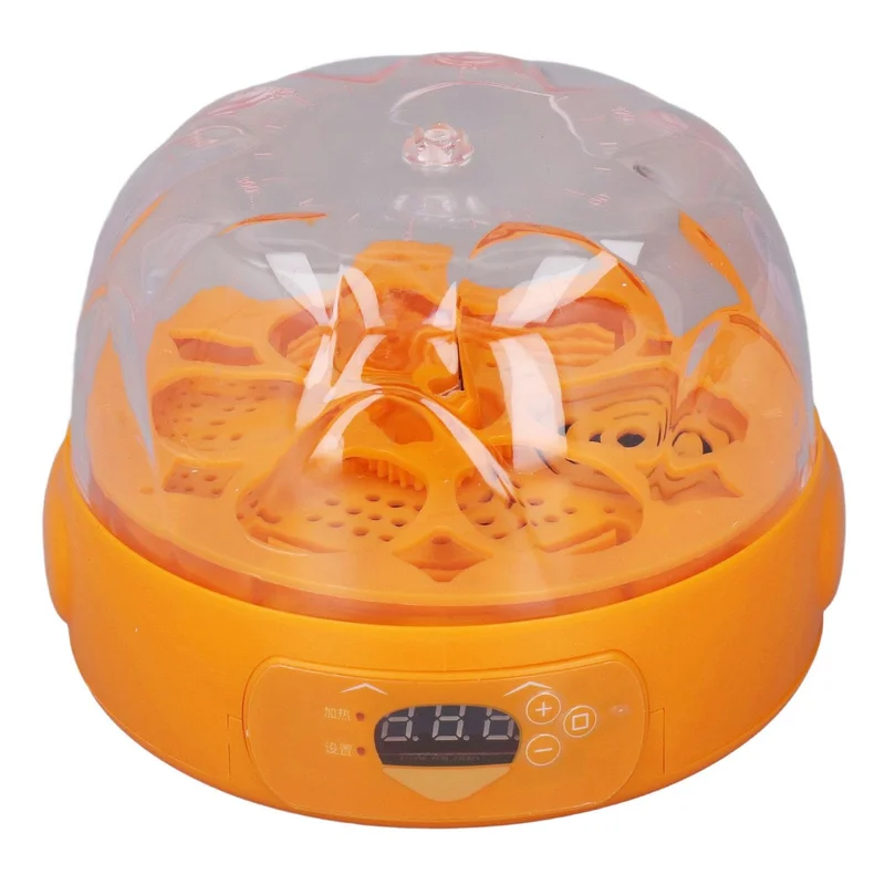 ibspot-55692986