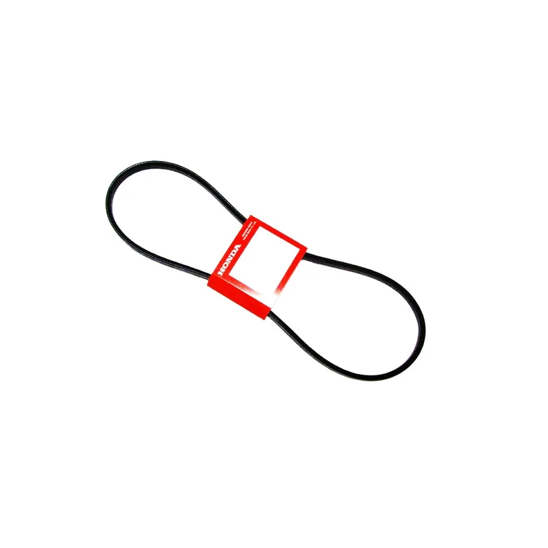 ibspot5395617