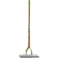 pettigrew-online4233512