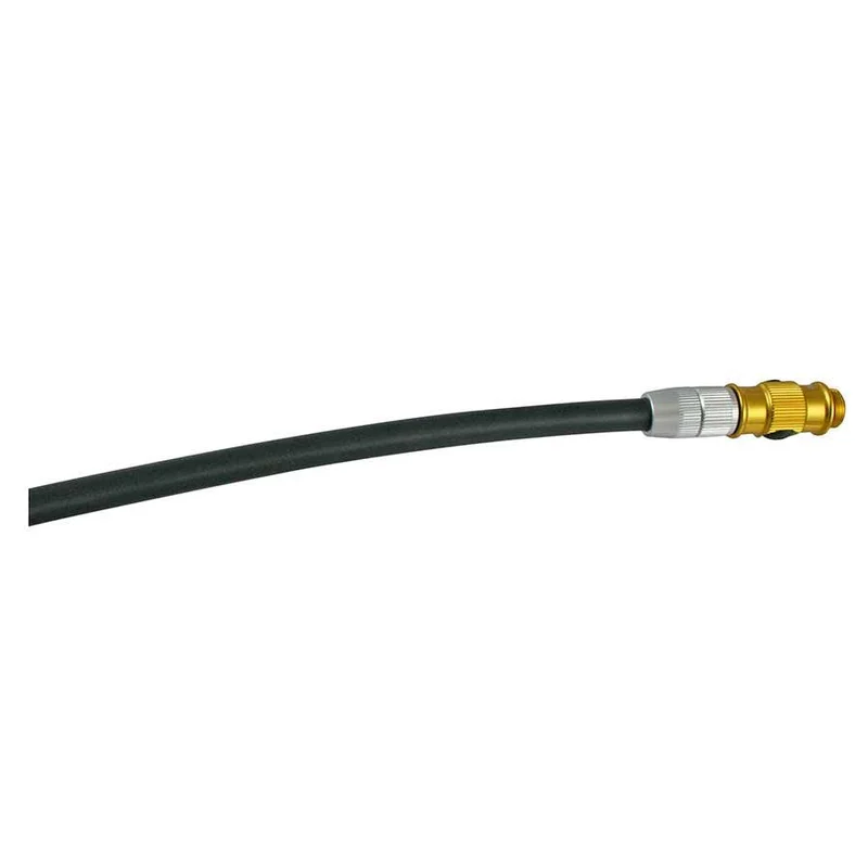 quantavici6629078