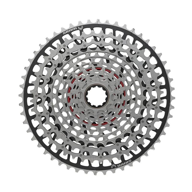 quantavici6635311