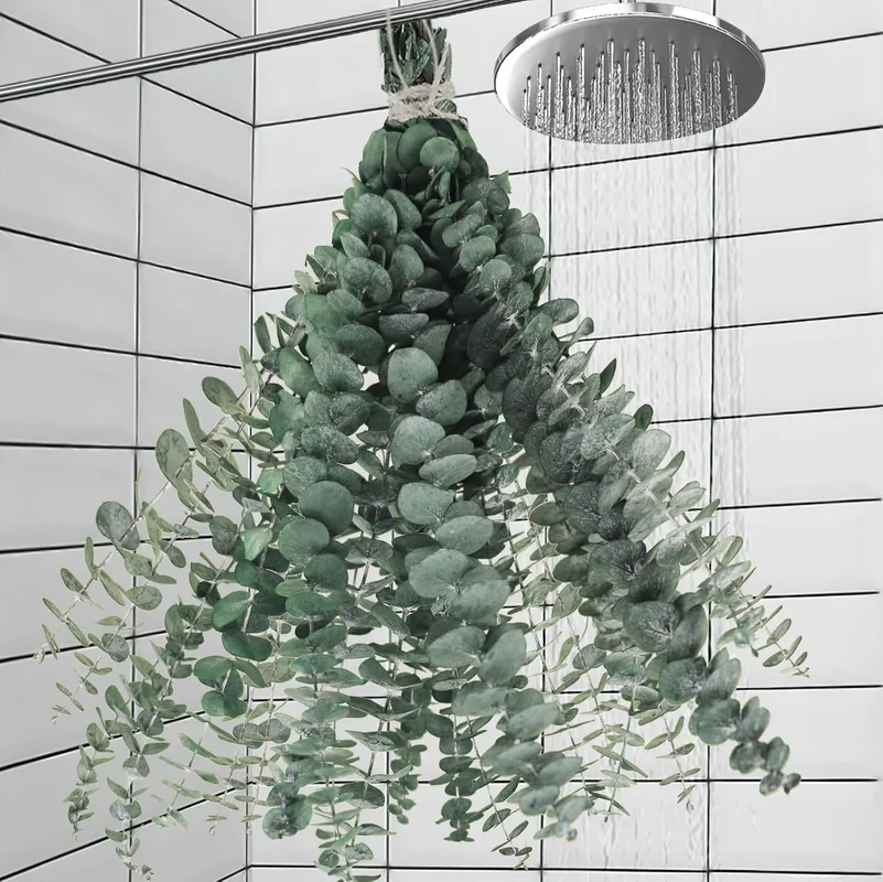zeebooth-24517252