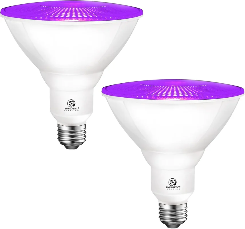 zeebooth-34298063