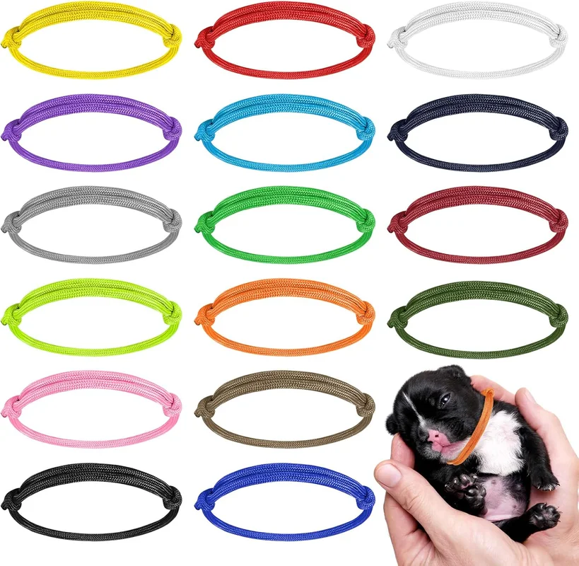 zeebooth-44420505