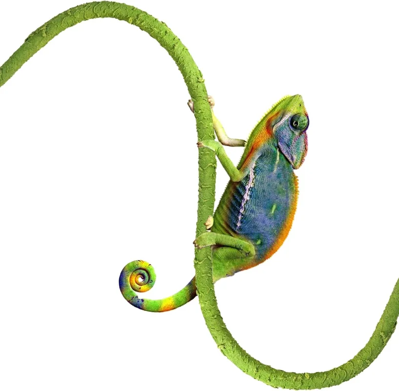 zeebooth-44565840