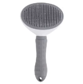 zeebooth-44605878