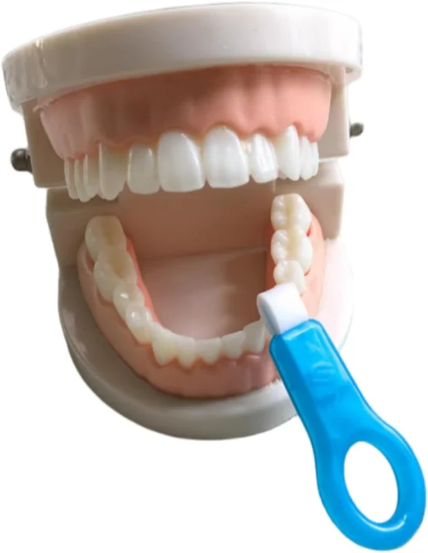 zeebooth-54637042