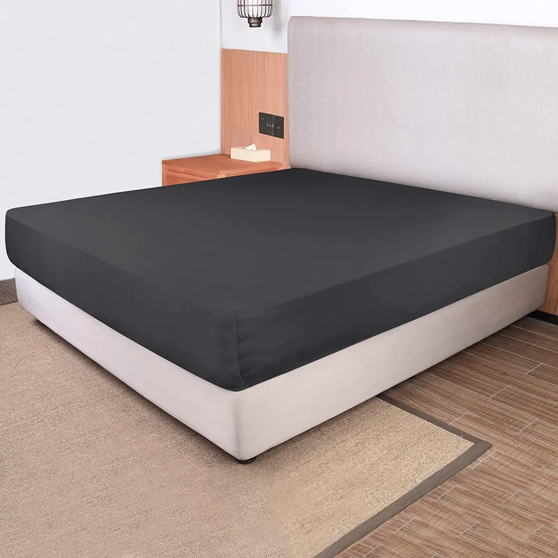 zeebooth4199006